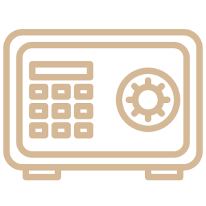 Personal electronic safe